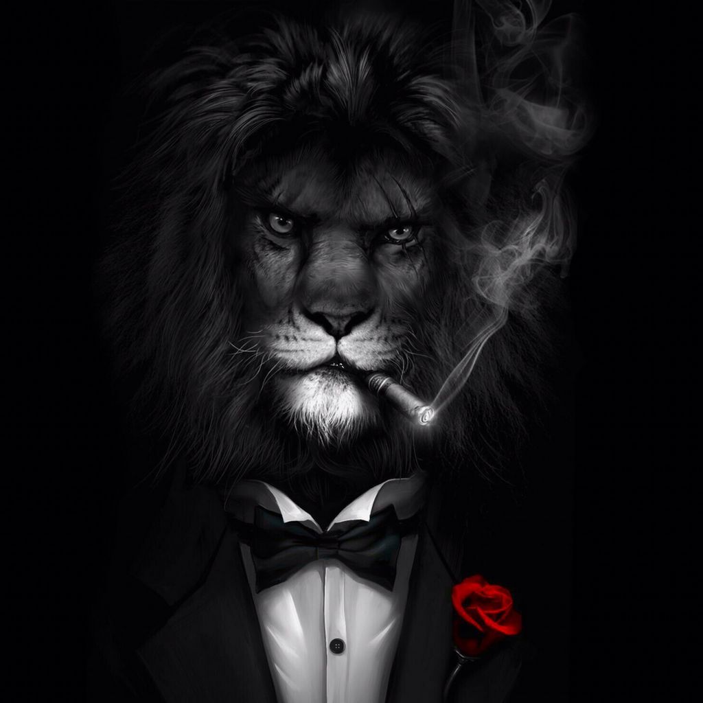 Отзывы об игорном заведении Lev 2026