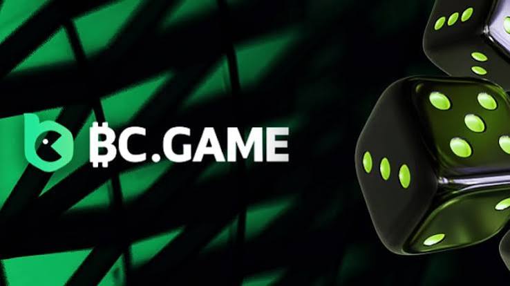 Your Guide to the BC.CO Registration Process Your Guide to the BC.CO Registration Process